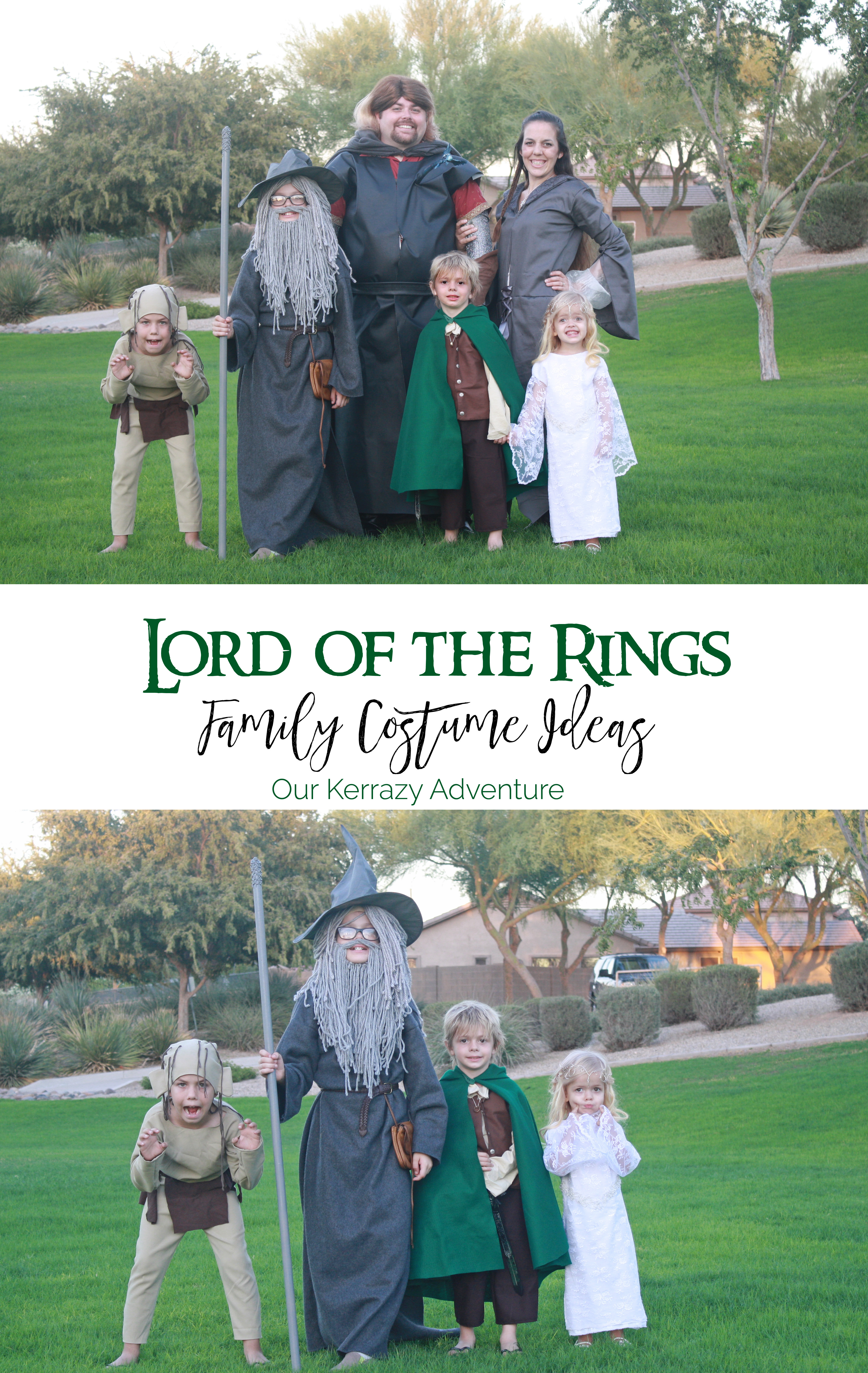 Family tree | Lord of the rings, Lotr, Lotr elves